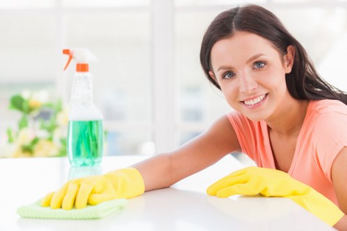 Professional deep cleaning service by Maya House Cleaners