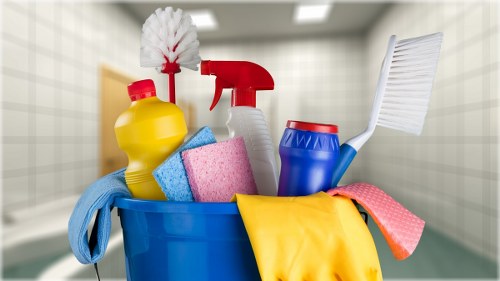Clean and organized living room after Maya House Cleaners service