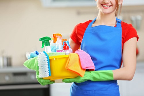 Eco-friendly cleaning products for ovens