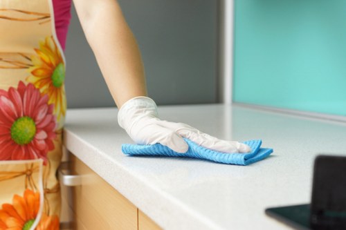 Eco-friendly rug cleaning solutions