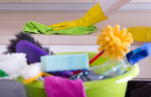 Professional cleaner sanitizing a modern kitchen