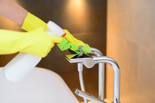 Eco-friendly carpet cleaning solutions