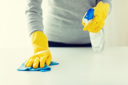 Technician treating a carpet stain