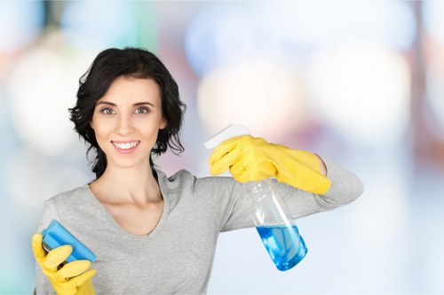 Eco-friendly cleaning products used by professionals