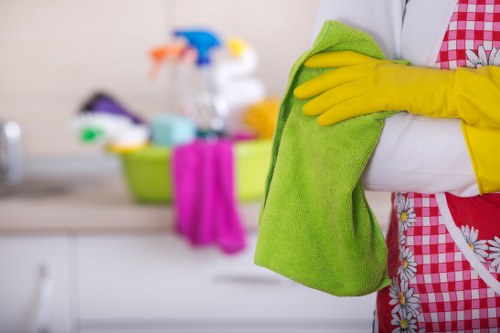 Maya House Cleaners team using advanced cleaning equipment