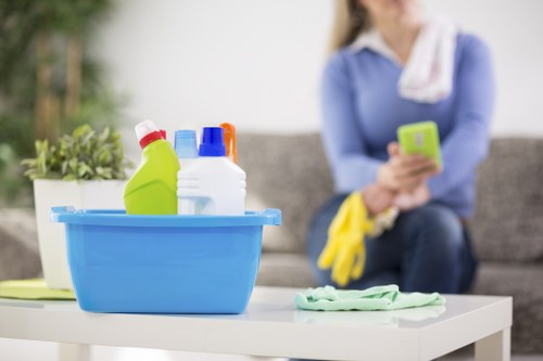 Eco-friendly cleaning products used by Maya House Cleaners