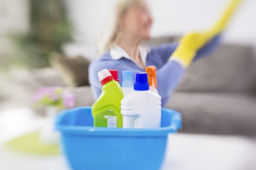 Happy family in a clean home