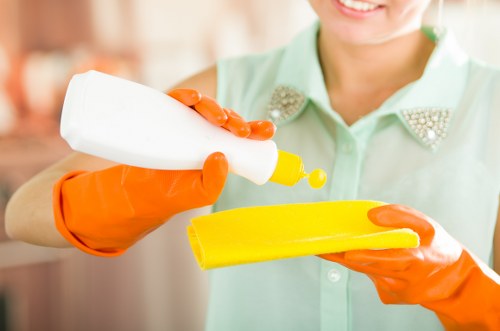 Maya House Cleaners team at work
