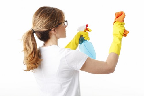 Various types of house facades cleaned by experts