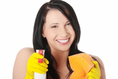 Customer service team at Maya House Cleaners