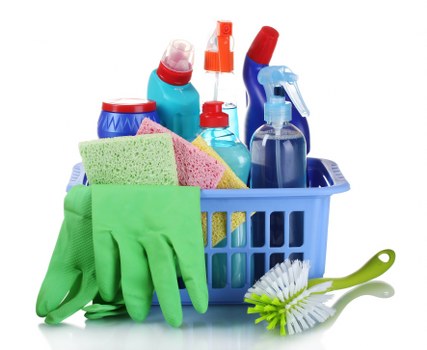 Maya House Cleaners team cleaning a bathroom