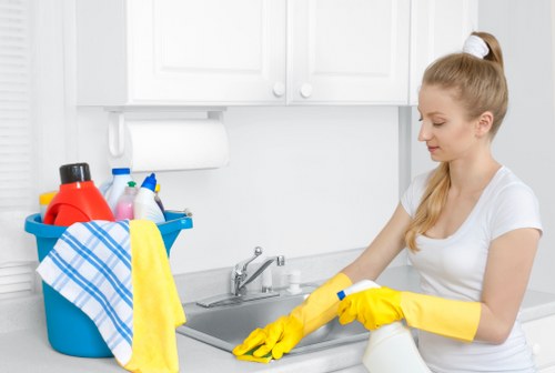 Detailed cleaning checklist for a spotless home
